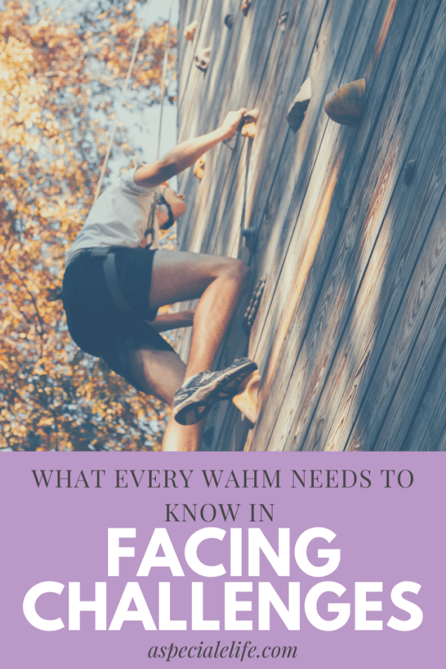 facing challenges for the wahm
